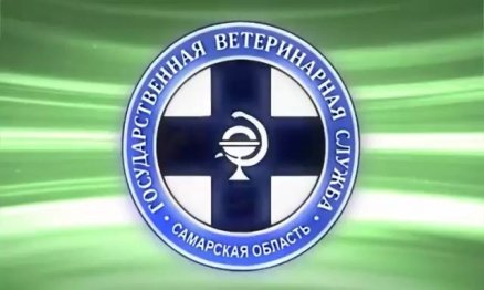 Лептоспироз
